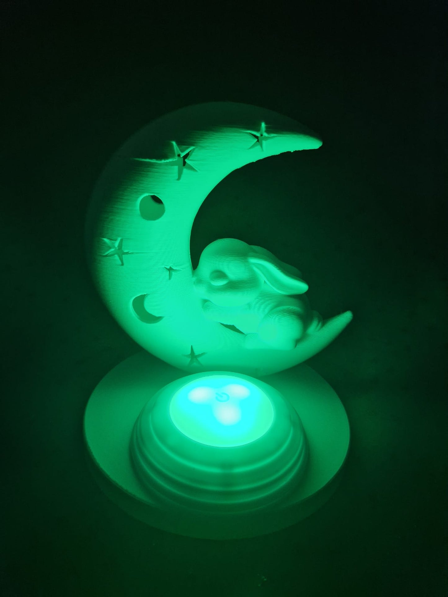 3D Druck Süße Nachtlampe Moonbunny LED