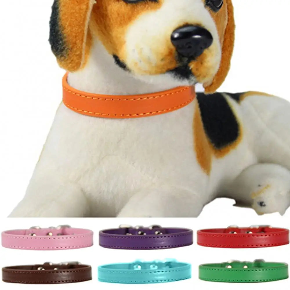 Hund Katzen Halsband Kleine Hunde Wunschtext