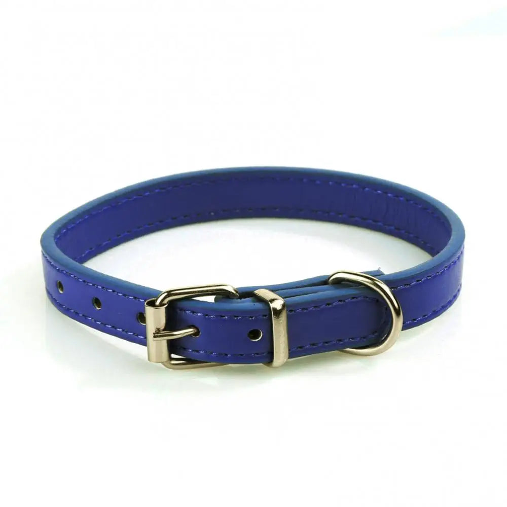 Hund Katzen Halsband Kleine Hunde Wunschtext